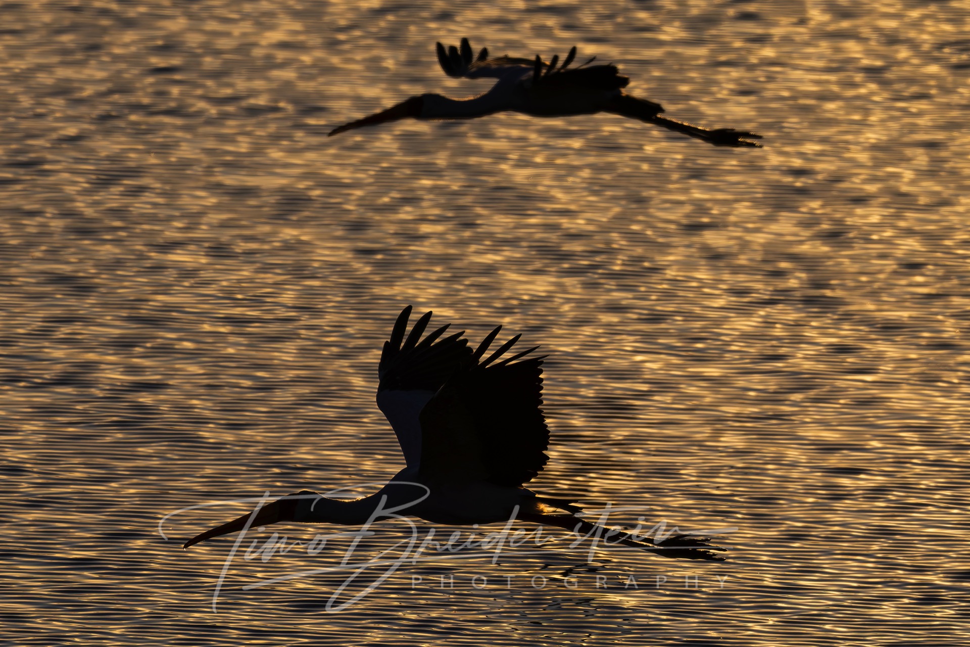 20250623 822A9394 Kopie